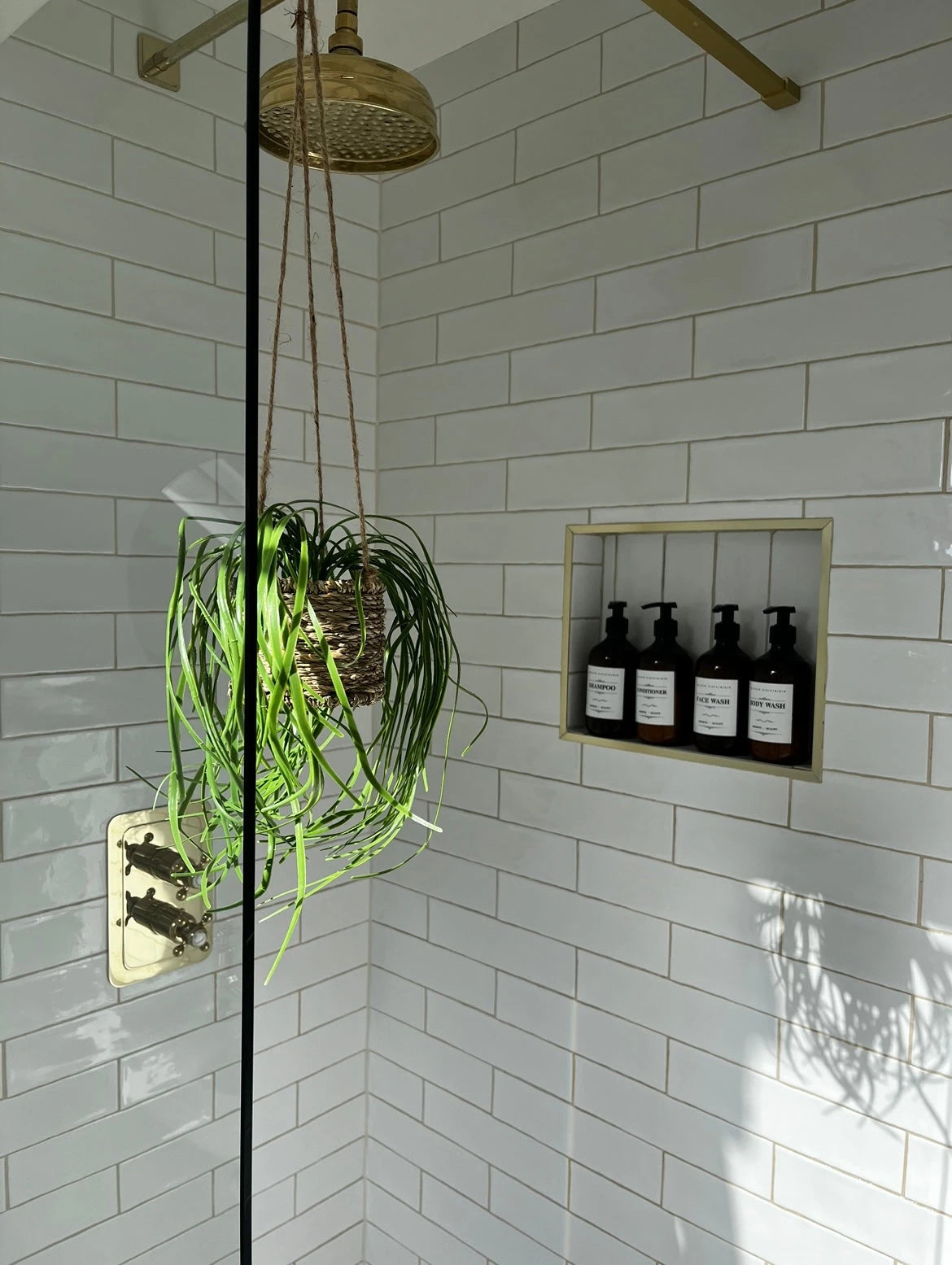 Plants and Plantpots