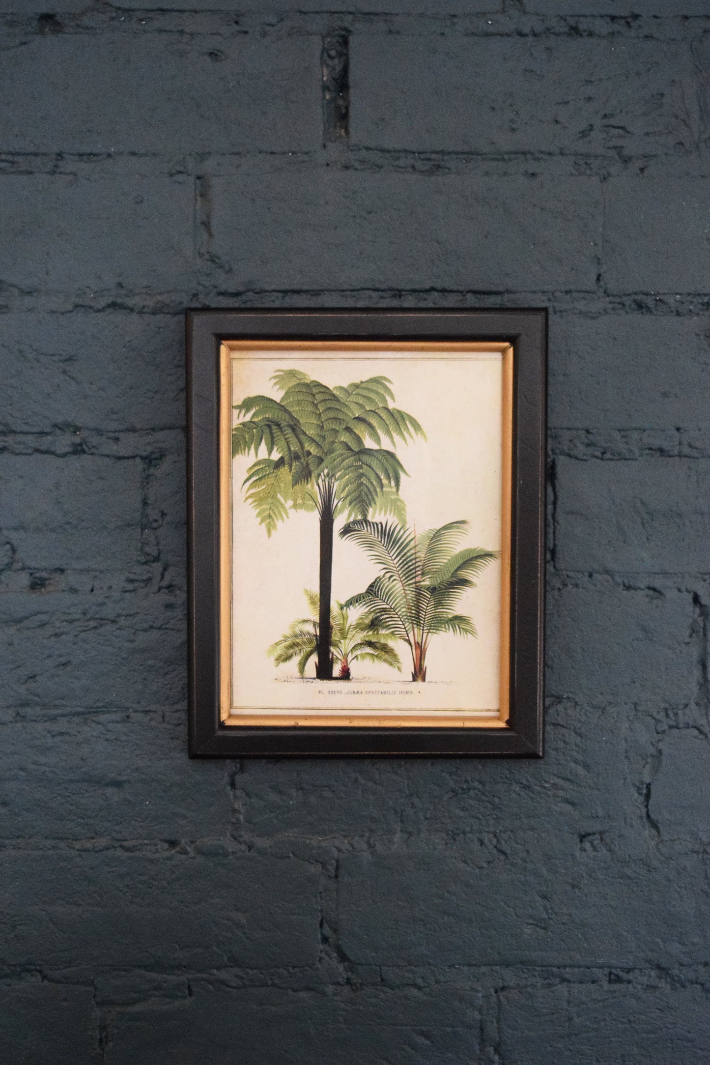 Tropical Prints