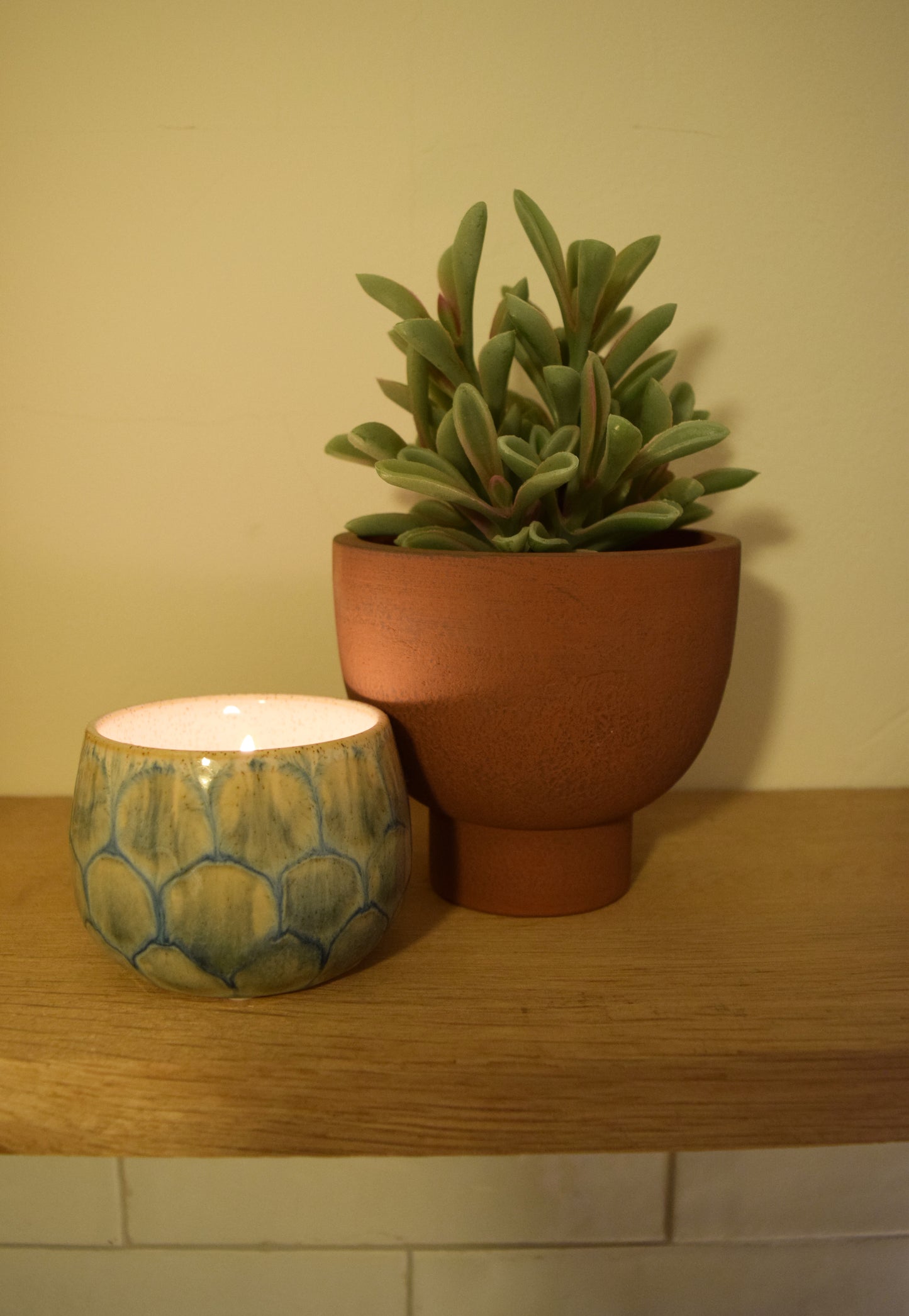 Faux Jade Plant in Ceramic Pot