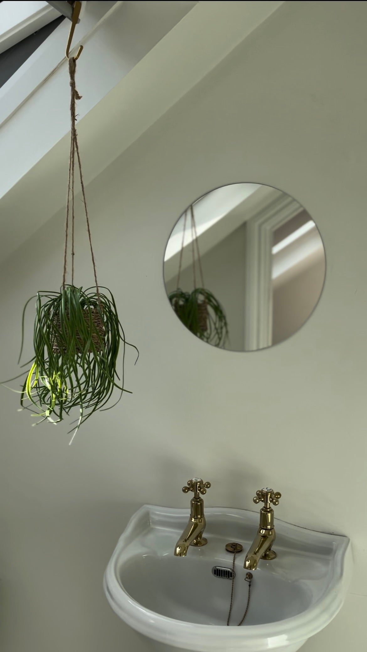 Faux Spider Plant in Hanging Basket