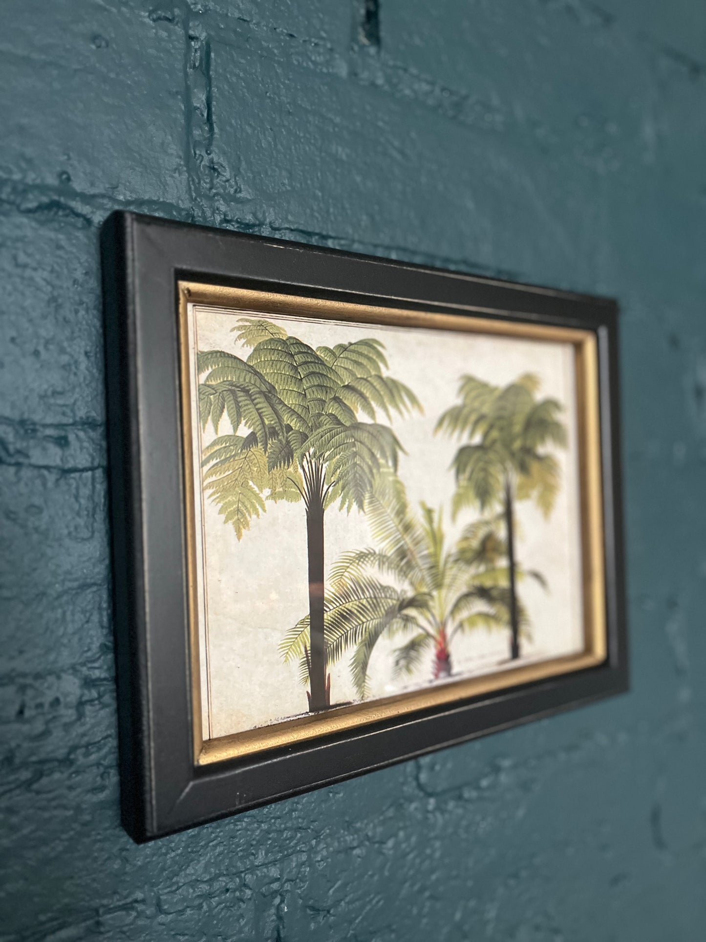 Tropical Prints